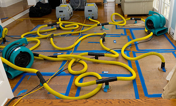 Professional Burst Pipe Water Damage technician working in Lima, OH